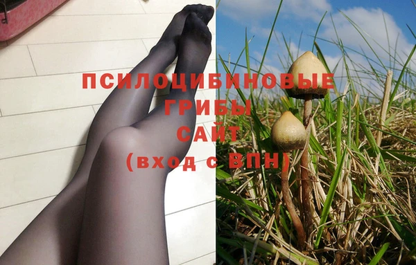 гидропоника Иннополис