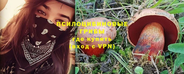 МДПВ Козельск