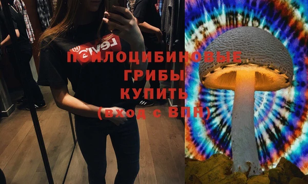 прущий лед Гусь-Хрустальный