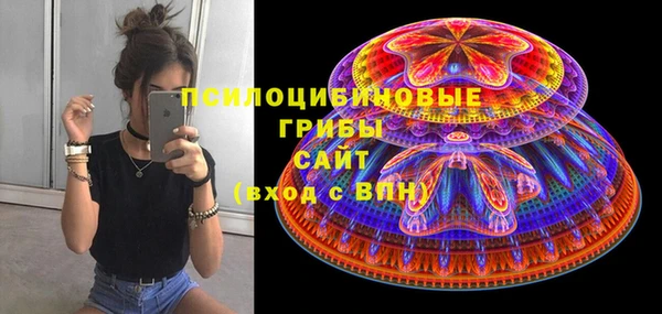 гидропоника Иннополис