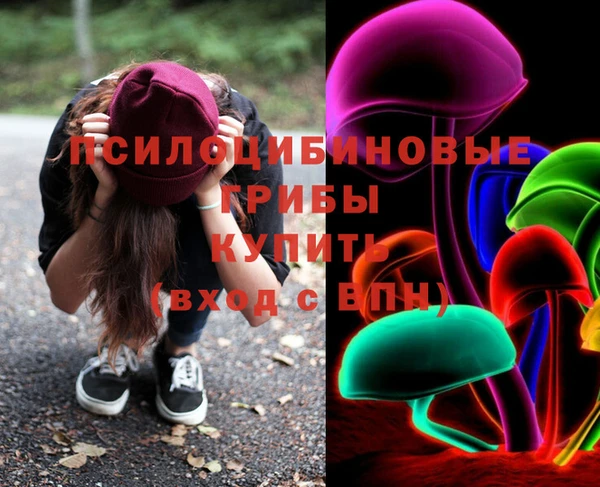 ешки Гусев