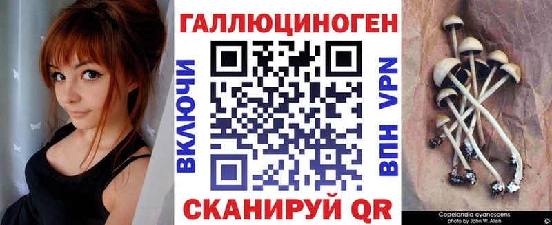 сколько стоит  hydra как зайти  Псилоцибиновые грибы прущие грибы  Няндома 